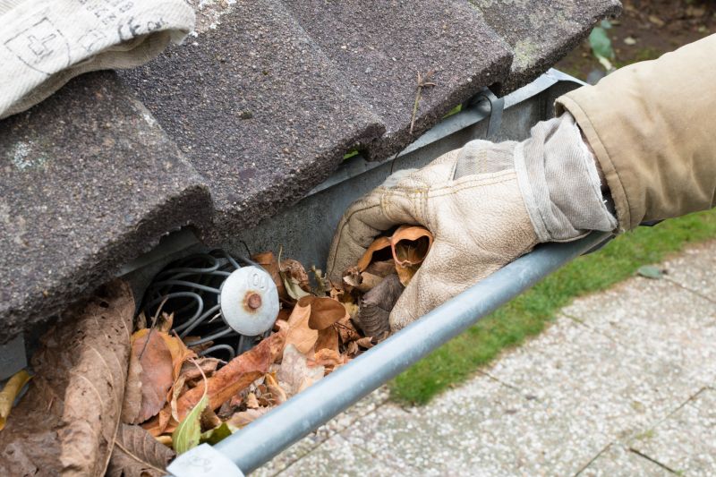 Clogged Gutter Clearing in Richmond, VA
