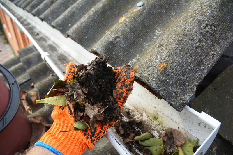 Commercial Gutter Cleaning in Sacramento, CA