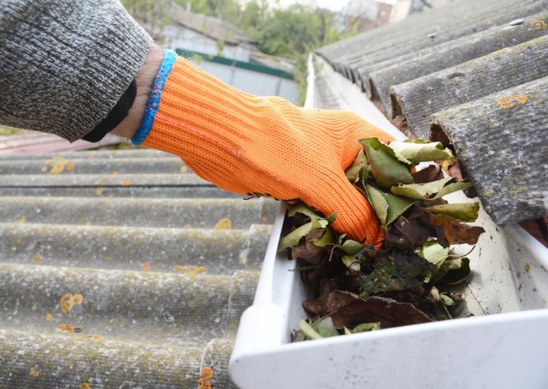 Commercial Gutter Maintenance in Littleton, CO
