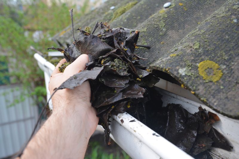 Garage Gutter Cleaning in Longmont, CO