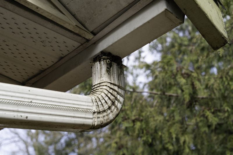 Gutter Downspout Unclogging in Richmond, VA