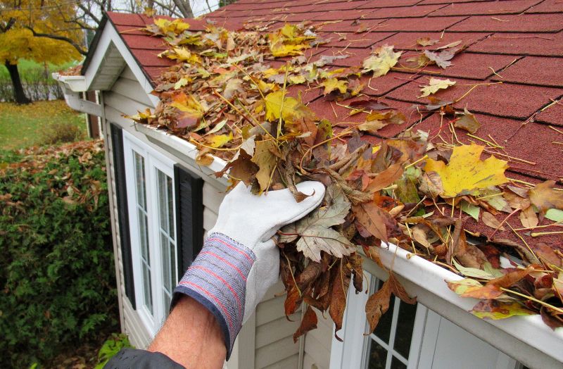Gutter Pine Needle Removal in Westchester County, NY