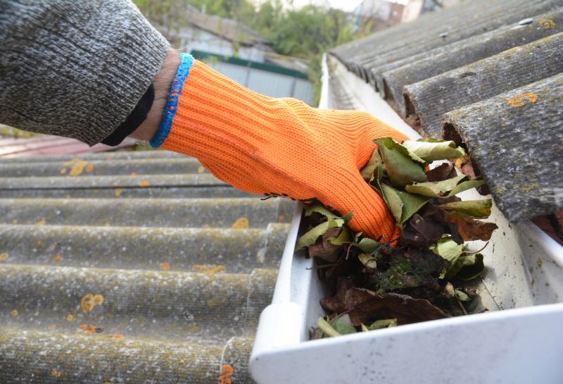 Roof Gutter Cleaning in Bergen County, NJ